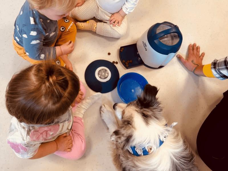 Dogoterapia Leśna Kraina Oborniki Śląskie